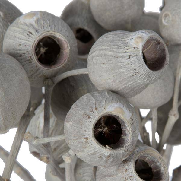 11"x4" Ivory Bellgum 5-7 Bells Preserved Tortum Bundle (10 Pack) 3