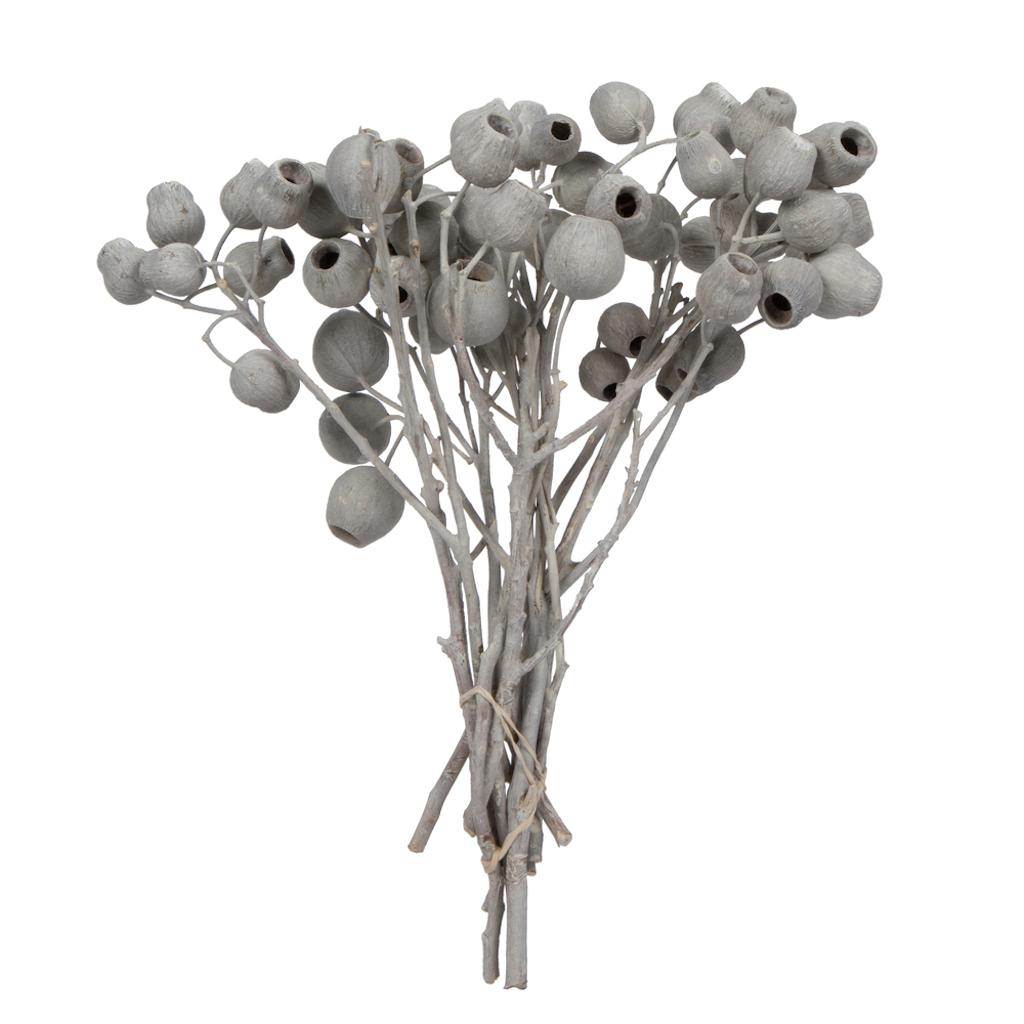 11"x4" Ivory Bellgum 5-7 Bells Preserved Tortum Bundle (10 Pack) 1