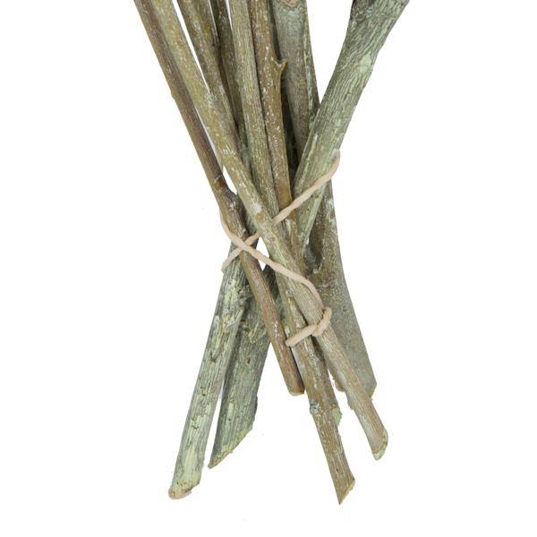 13"x1-3" Red Gum Green Frosted (14 Pack) 4