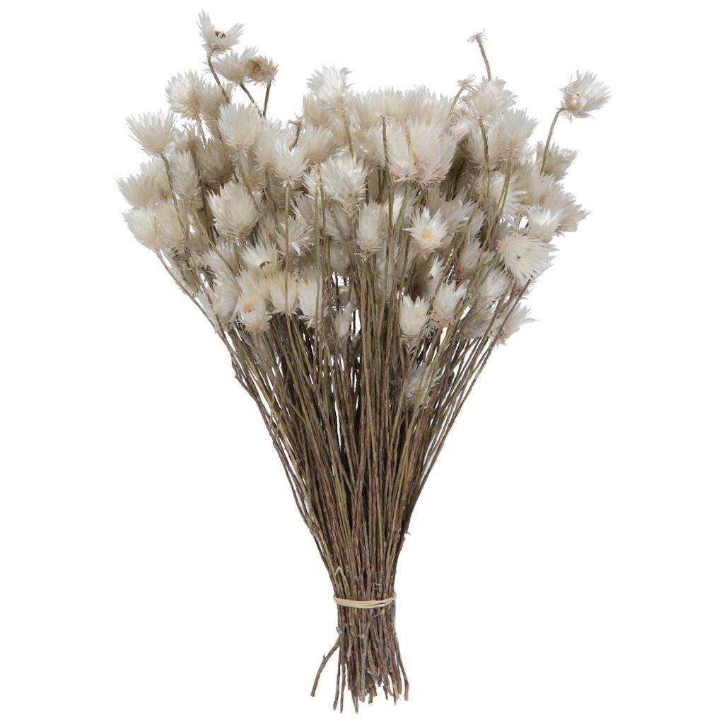 14"x5" Everlasting Shiny White Hammer Bundle (60g Pack) 1