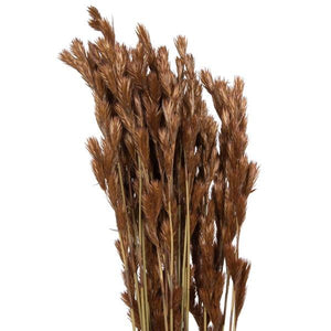 33"x5" Thatch Reed 3.5oz Bunch Bundle 2