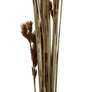 33"x5" Thatch Reed 3.5oz Bunch Bundle 3
