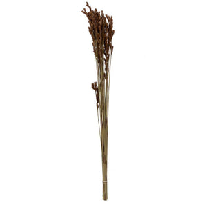 33"x5" Thatch Reed 3.5oz Bunch Bundle 1