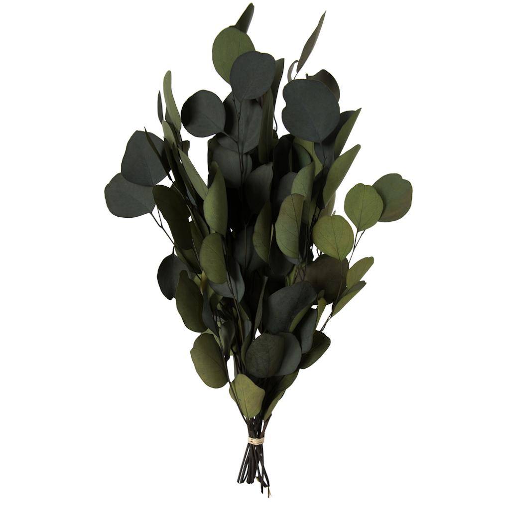 18-20"x8" Artificial Green Eucalyptus Populus Spray 1