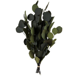 18-20"x8" Artificial Green Eucalyptus Populus Spray 1