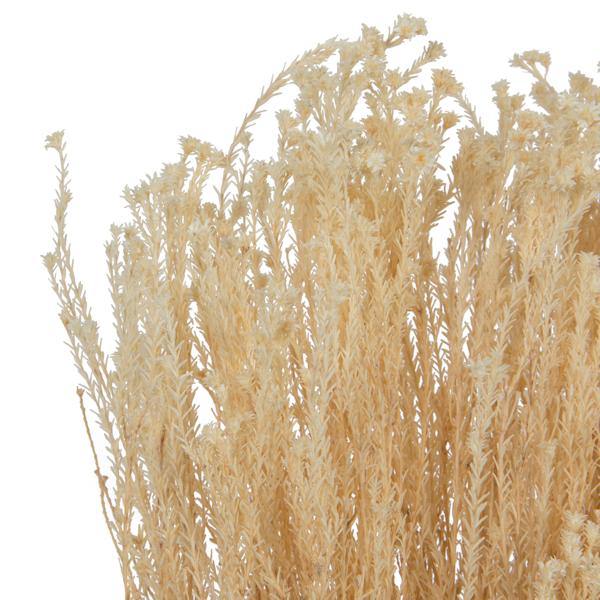 19"x4" Staavia Bleached Bunch (3.5oz Pack) 2