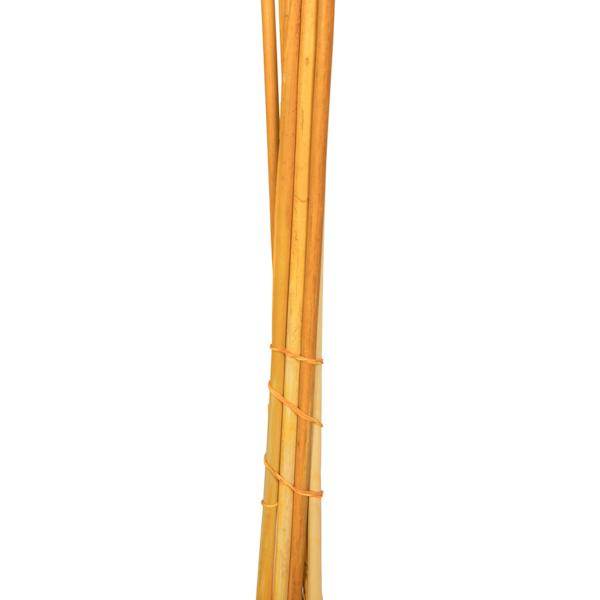 46" Aspen Gold Pampas Grass Bundle (6 stems) 3