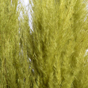 46" Light Basil Green Pampas Grass Bundle (6 stems) 2