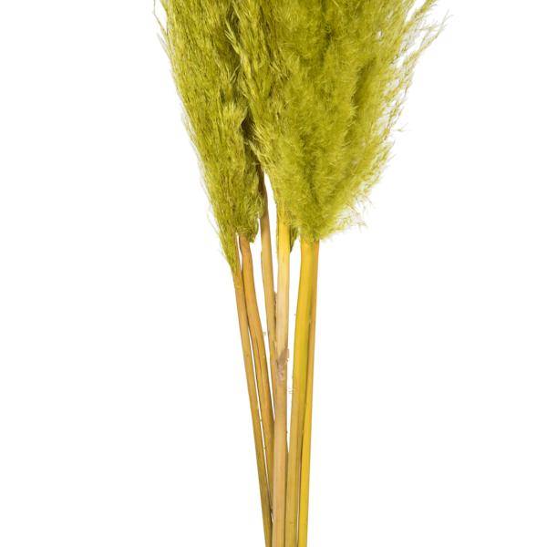 46" Light Basil Green Pampas Grass Bundle (6 stems) 3
