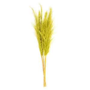 46" Light Basil Green Pampas Grass Bundle (6 stems) 1