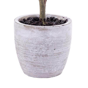 19" Artificial Blue Spruce Sapling Potted Artificial Christmas Tree 3