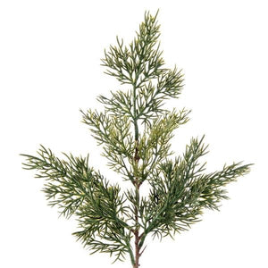 24" Artificial Green Cypress Sapling Potted 2