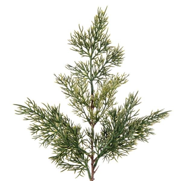 24" Artificial Green Cypress Sapling Potted 2