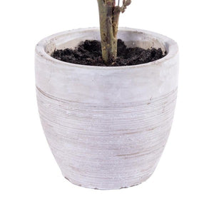 24" Artificial Green Cypress Sapling Potted 3