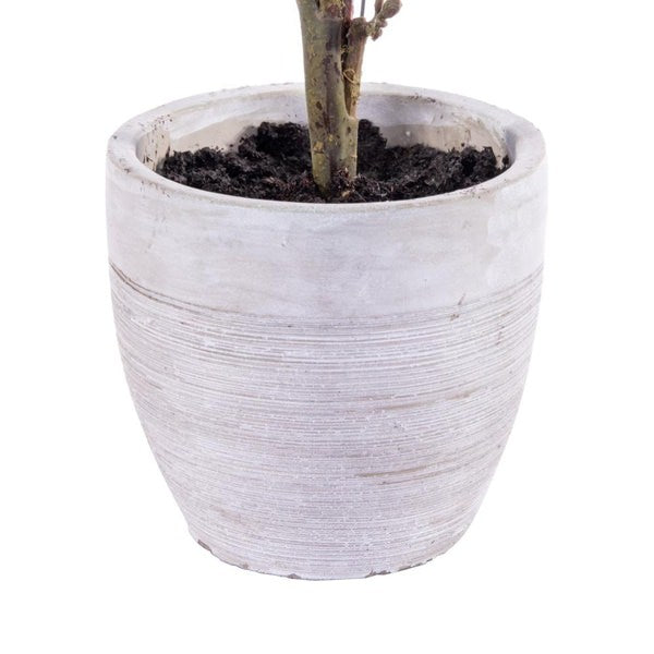 24" Artificial Green Cypress Sapling Potted 3