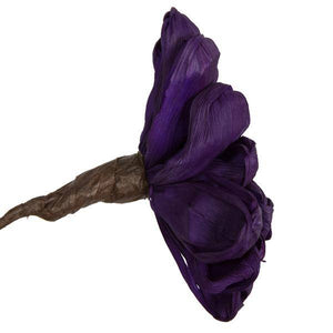 6" Violet Maize Dahlia on 18" stem (6 Pack) 3