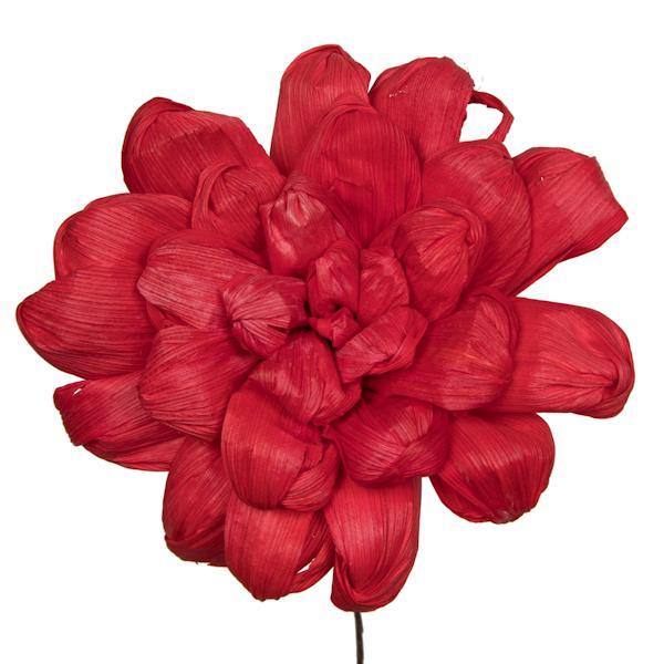 6" Red Maize Dahlia on 18" stem (6 Pack) 2