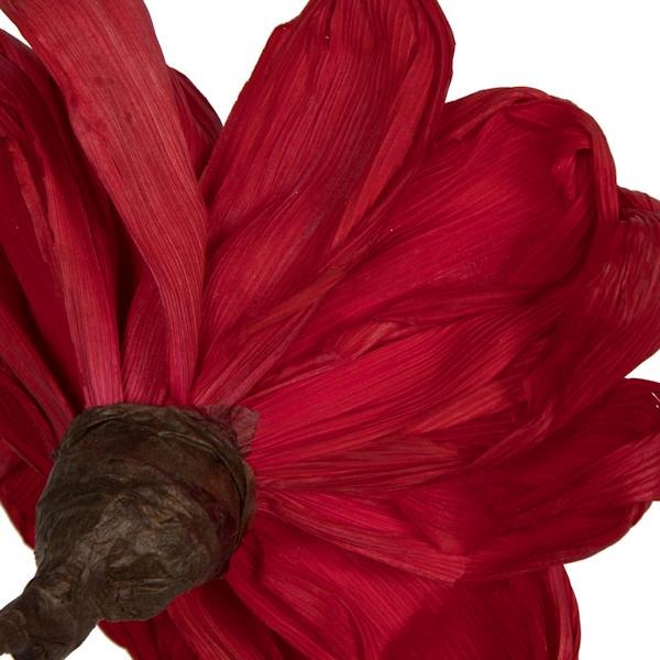 6" Red Maize Dahlia on 18" stem (6 Pack) 4