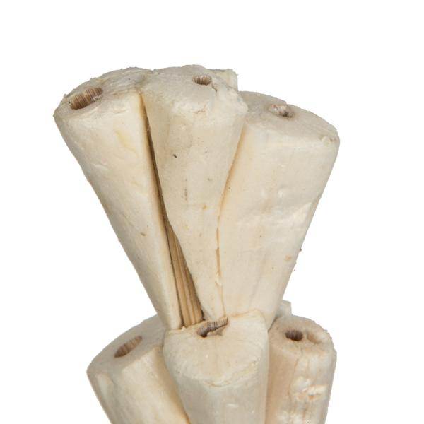 24" Natural Sola Rajani Stick (24 Pack) 3