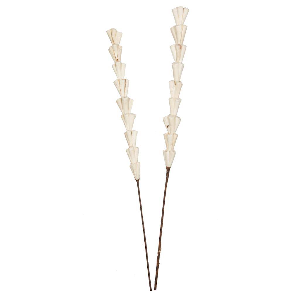 24" Natural Sola Rajani Stick (24 Pack) 1