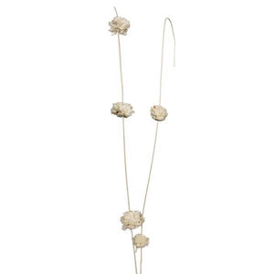 40" Brown Coco Bleached Sola Zinnia (24 Pack) 2