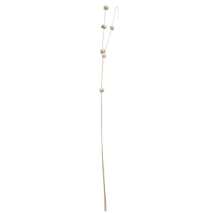 40" Brown Coco Bleached Sola Zinnia (24 Pack) 1