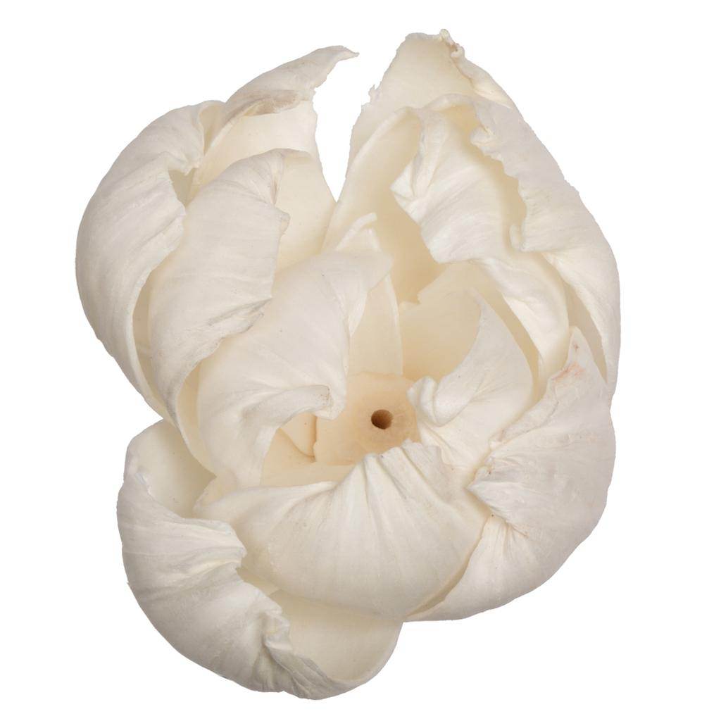 1-3" Assorted Peony Sola Head (24 pack) 1