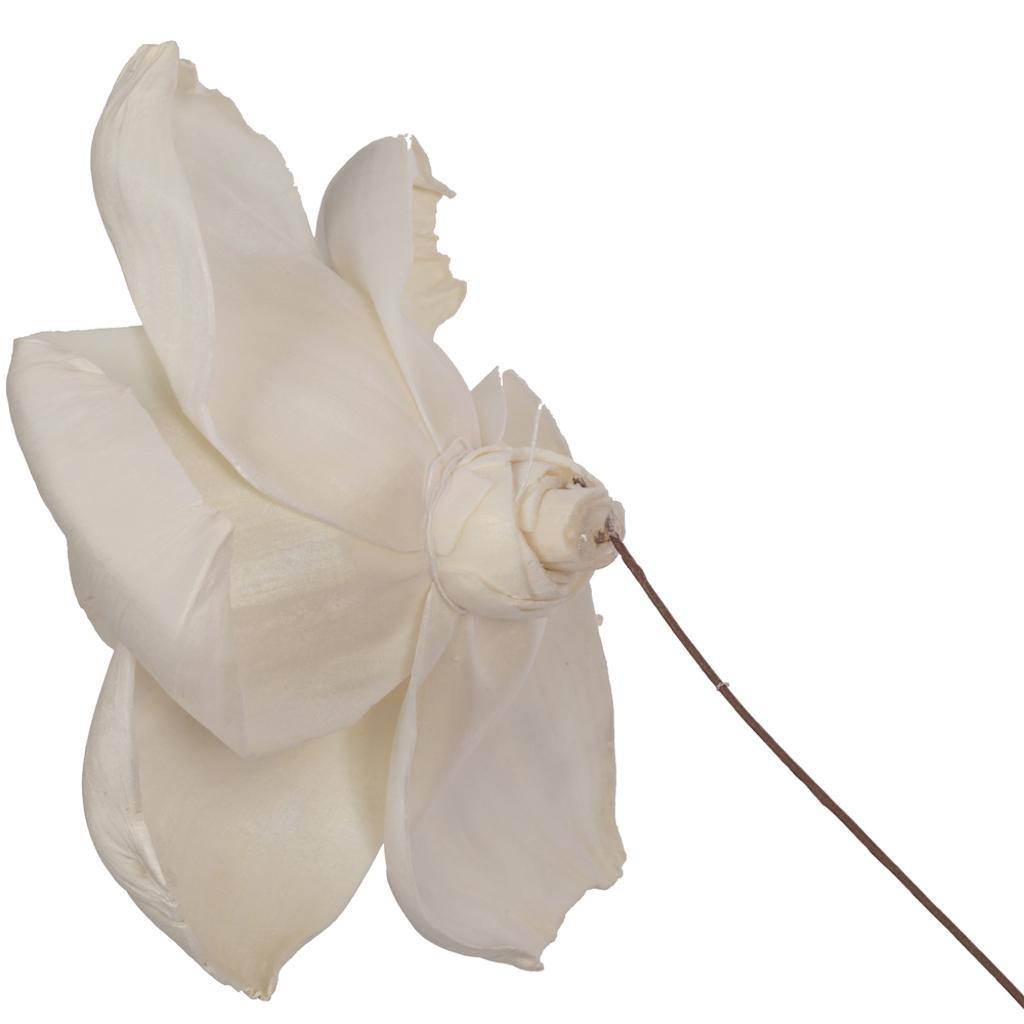 4" Jonquil Sola Flower 12" Stem (12 pack) 1