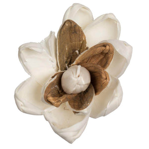 1-3" Assorted Lillian Sola Head #32 (24 pack) 1