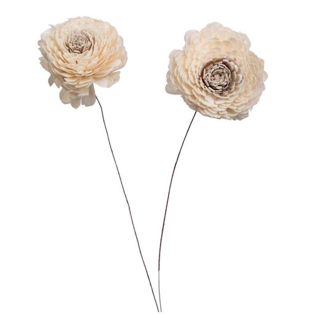4" Charki Sola Flower 12" Stem (12 pack) 1