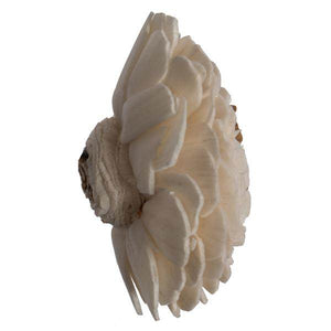 1-3" Assorted Charki Sola Head #32 (24 pack) 3