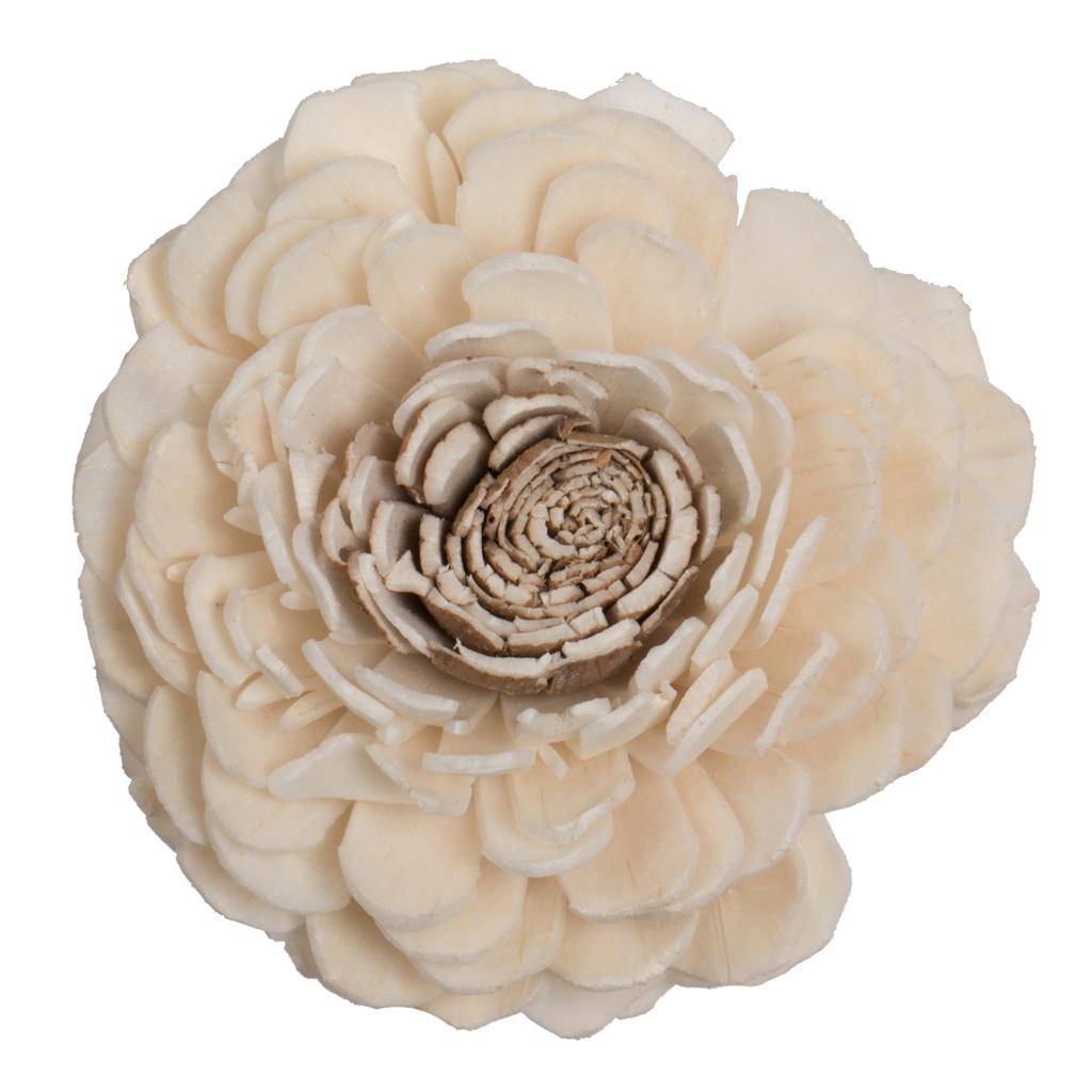 1-3" Assorted Charki Sola Head #32 (24 pack) 1