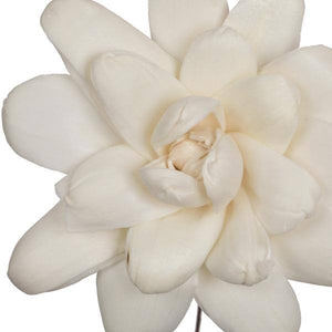 4" Eleanor Sola Flower 12" Stem (12 pack) 2