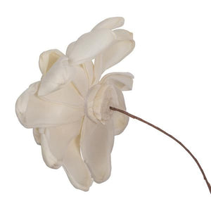 4" Eleanor Sola Flower 12" Stem (12 pack) 3