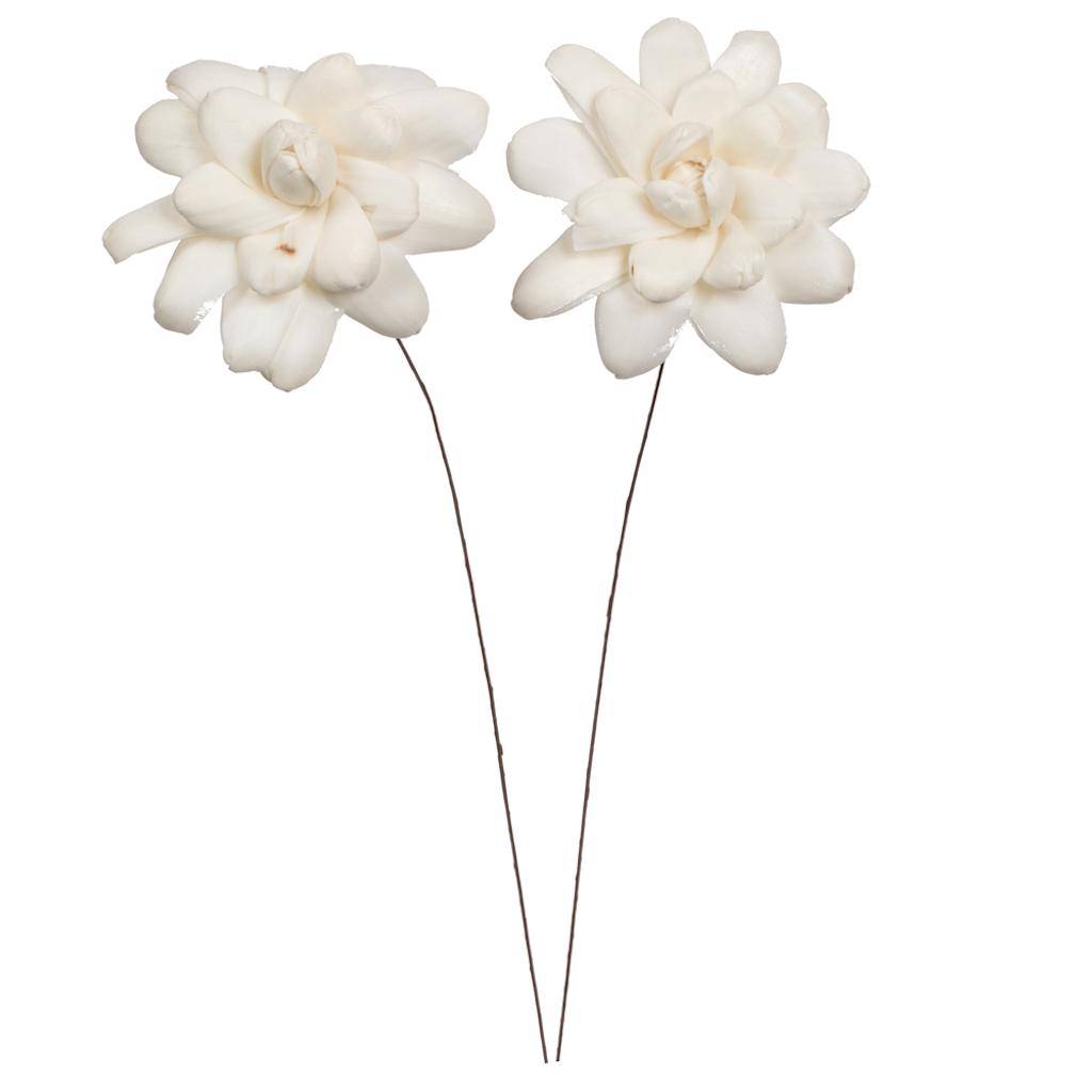 4" Eleanor Sola Flower 12" Stem (12 pack) 1