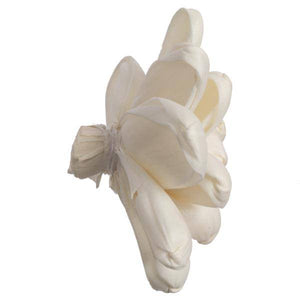 1-3" Assorted Eleanor Sola Head (24 pack) 2
