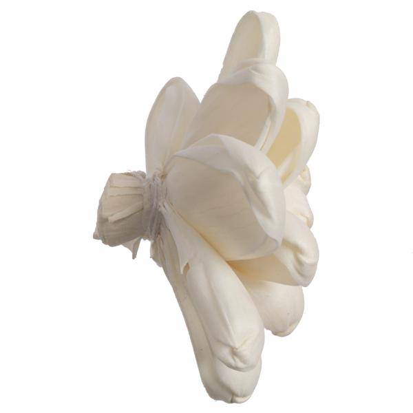 1-3" Assorted Eleanor Sola Head (24 pack) 2