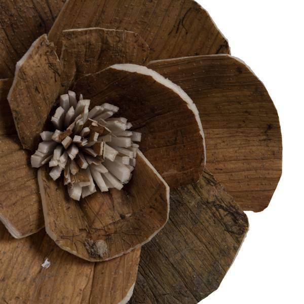 1-3" Assorted Walnut Sola Head (24 pack) 2