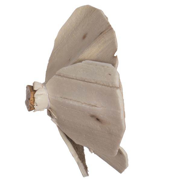 1-3" Assorted Walnut Sola Head (24 pack) 3