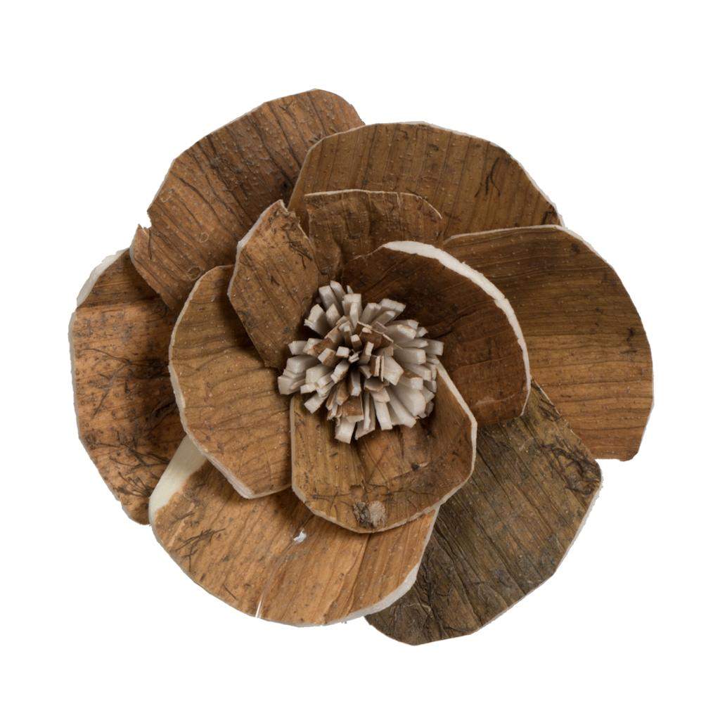 1-3" Assorted Walnut Sola Head (24 pack) 1