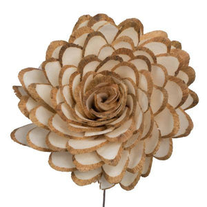 4" Almond Sola Flower 12" Stem (12 pack) 2