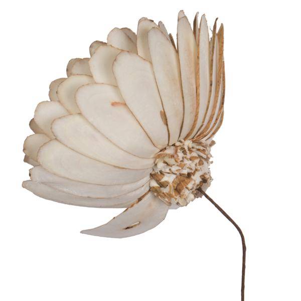 4" Almond Sola Flower 12" Stem (12 pack) 3
