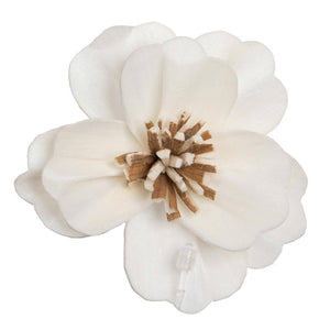 1-3" Assorted Anemone Sola Head (24 pack) 1
