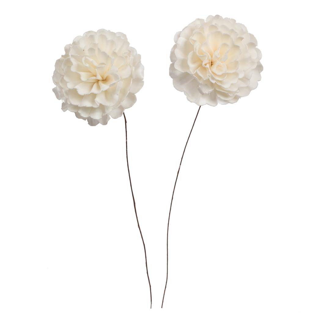 4" Camellia Sola Flower 12" Stem (12 pack) 1