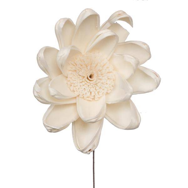 4" Crocus Sola Flower 12" Stem (12 pack) 2