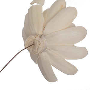 4" Crocus Sola Flower 12" Stem (12 pack) 3