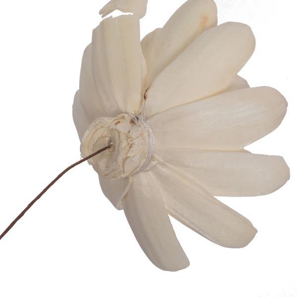 4" Crocus Sola Flower 12" Stem (12 pack) 3