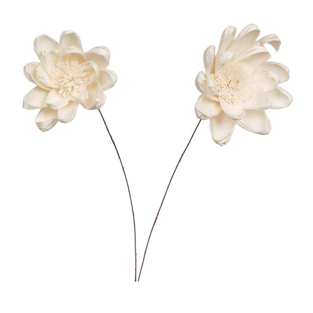 4" Crocus Sola Flower 12" Stem (12 pack) 1