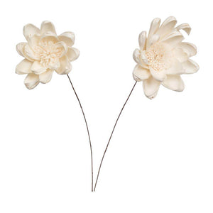 4" Crocus Sola Flower 12" Stem (12 pack) 1