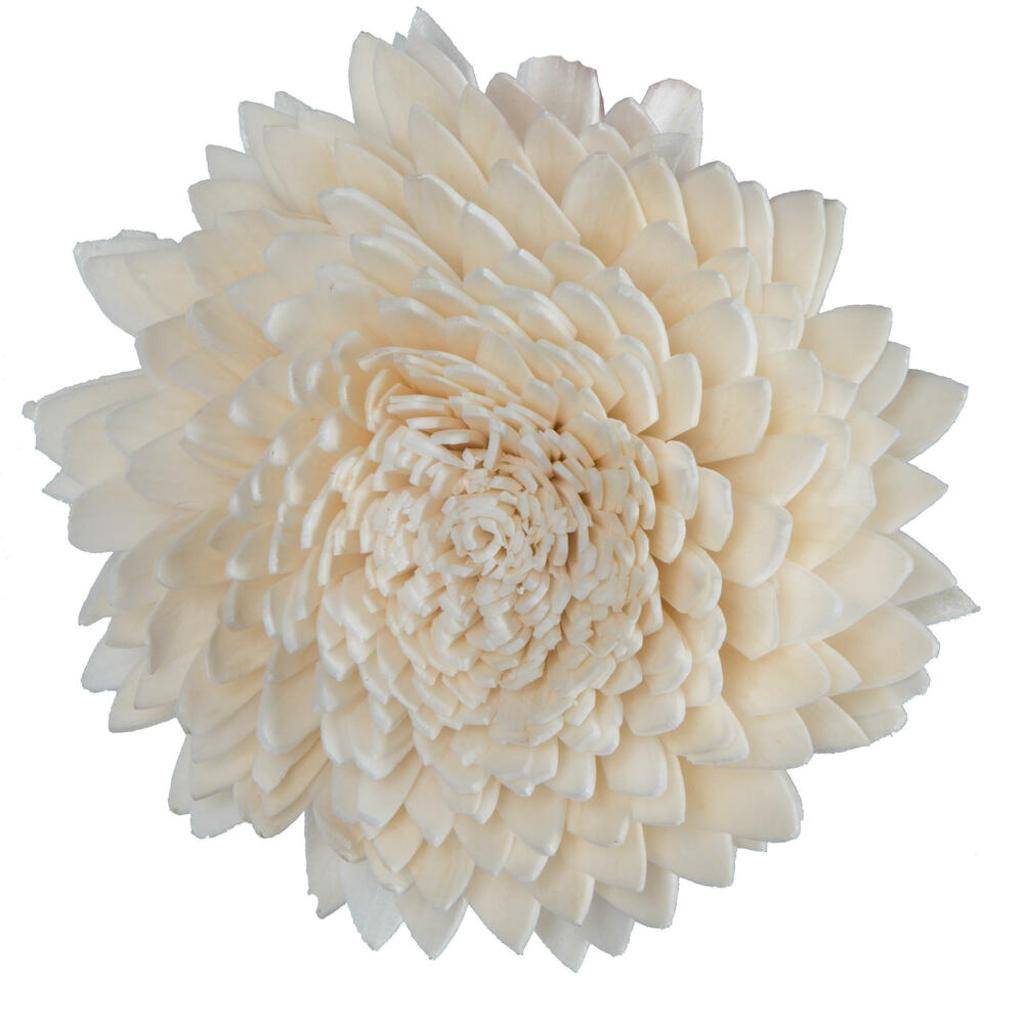 1-3" Assorted Peony Sola Head (24 pack) 1